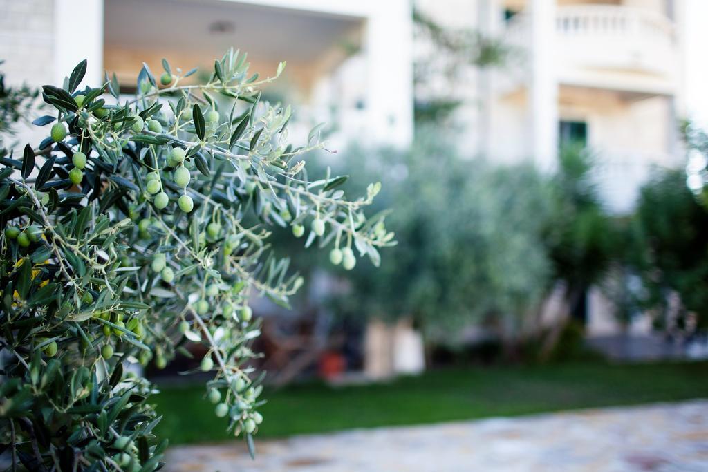 Apartments Villa Barbara Sumartin Buitenkant foto